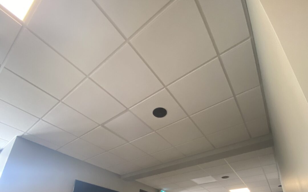 Suspended Ceilings